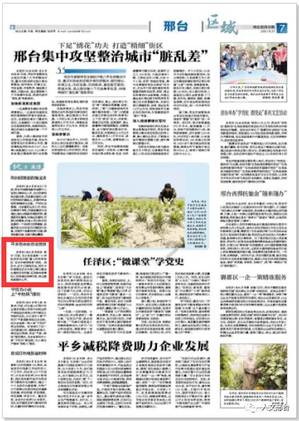 白莲花守则